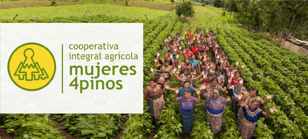 gricola Mujeres Cuatro Pinos