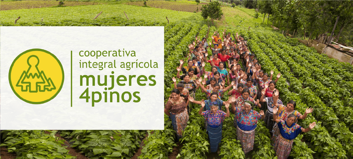 gricola Mujeres Cuatro Pinos