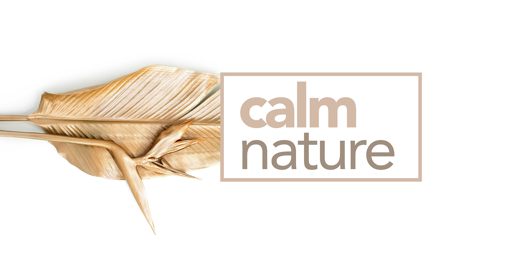 Calm Nature Calm Nature